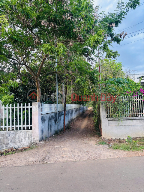 PRIME LAND – GREAT PRICE, URGENT SALE BY OWNER in Lang Minh Commune, Xuan Loc District, Dong Nai Province _0