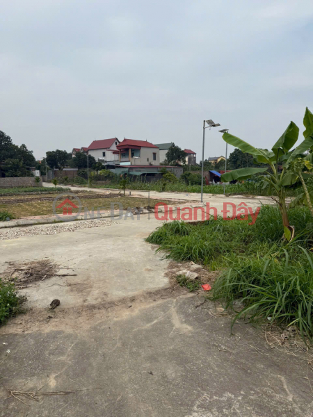 Property Search Vietnam | OneDay | Nhà ở Niêm yết bán | BÁN ĐẤT MINH PHÚ- SÓC SƠN NGÕ Ô TÔ QUA 81 M2 MẶT TIỀN 5M X 1.77 tỷ.