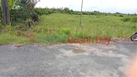 Owner Sells Land on Vam Bi Road - Truong Hoa - 4 Tong, Phong Dien, Can Tho City _0