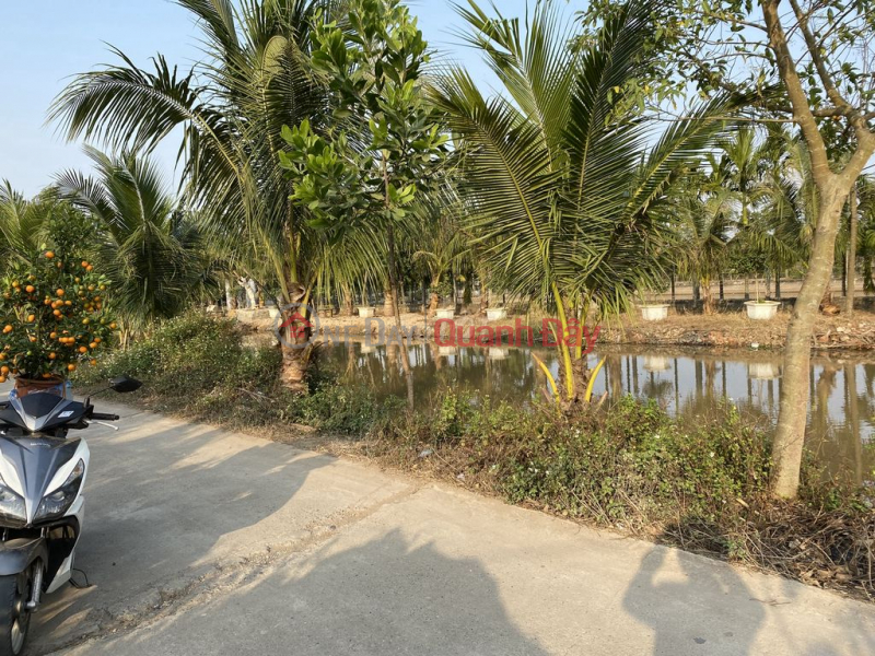 Property Search Vietnam | OneDay | Nhà ở Niêm yết bán, Cần Bán Đất Sổ Đỏ 400m2 Đội 6, xã Phú Hưng - Ý Yên - Nam Định