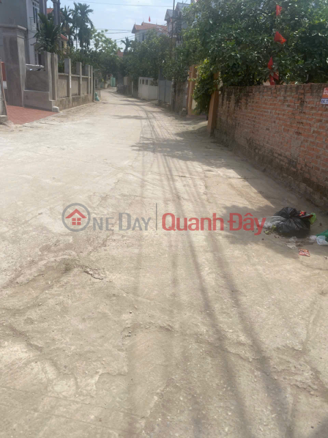 I need to quickly sell land in Trang Viet, Me Linh, Hanoi - I am the owner _0