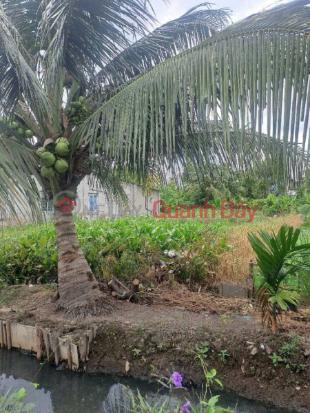 Đất Vuông SHR HXH 201m2 – Thạnh Xuân 33 Quận 12 SS Niêm yết bán