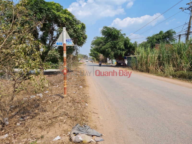 Land for sale in front of DT 821 street, in Loc Giang commune, Duc Hoa district, Long An province Sales Listings