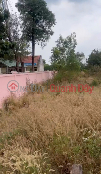 PRIME LAND FOR SALE BY OWNER IN HAMLET 3, THANH HOA COMMUNE, BU DOP DISTRICT, BINH PHUOC PROVINCE | Vietnam Sales đ 720 Million
