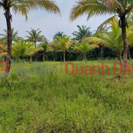 Chính Chủ Cần Bán Đất Vườn Dừa - Giá Tốt Tại Ấp Dầu-Đông Hòa- Châu Thành- Tiền Giang _0