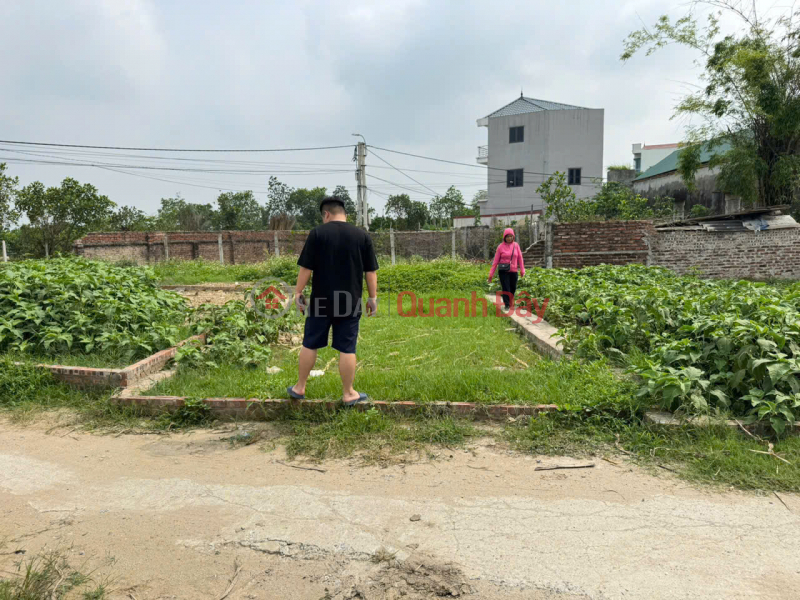 Đất đẹp tổ 9, TT Quang Minh, Mê Linh. Đường thông, oto đỗ. Gần KCN và trường CD Việt Nam, Bán, đ 1,9 tỷ