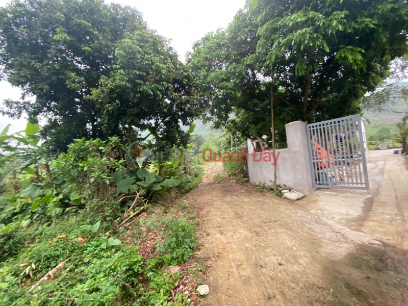 Property Search Vietnam | OneDay | Residential | Sales Listings | Land for sale in Bot Village - Phu Thanh - Lac Thuy - Hoa Binh Area: 2904m MT: 55m 3.6 billion.