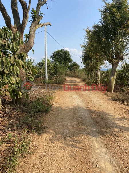 Beautiful Land - Good Price - Owner Needs to Sell Land Lot in Nice Location in An Hiep, Lien Hiep, Duc Trong, Vietnam | Sales | đ 2.3 Billion