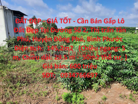 BEAUTIFUL LAND - GOOD PRICE - Urgent Sale Beautiful Land Lot In Tan Phu Town, Dong Phu District, Binh Phuoc _0