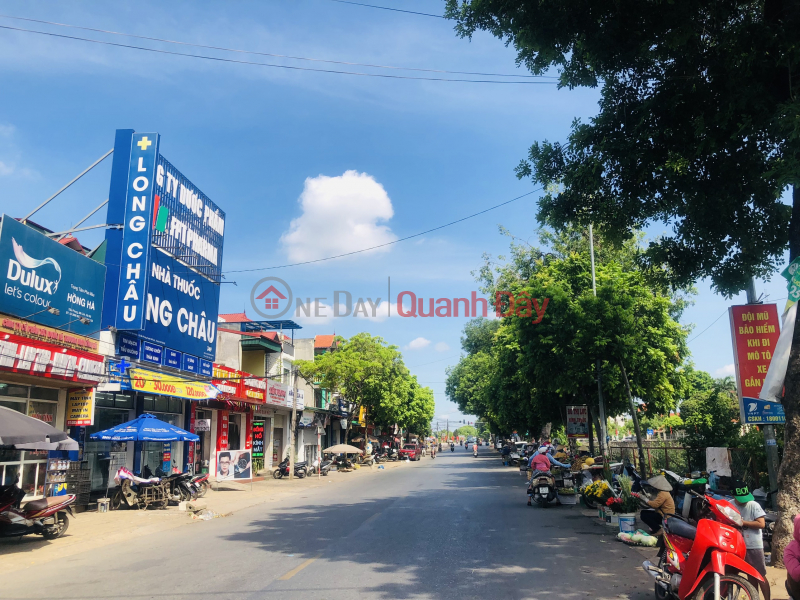 SELL LAND YEN NHAN - TIEN PHONG - HO CHI MINH CITY - NORTH THANG LONG INDUSTRIAL PARK Sales Listings