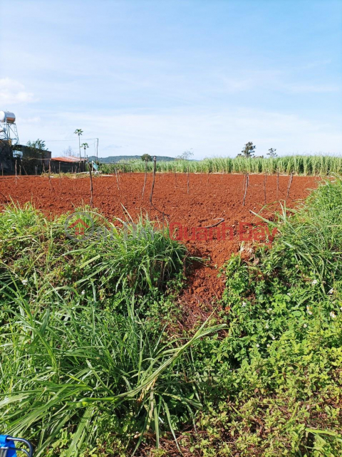 Đất Đẹp - Giá Tốt - Chính Chủ Cần Bán Lô Đất Vị Trí Đẹp Tại Khu Trung Tâm Xã Quảng Lập _0