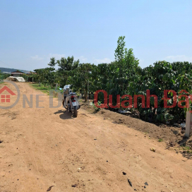 ĐẤT ĐẸP – GIÁ TỐT – CHÍNH CHỦ CẦN BÁN NHÀ Thôn Phúc Hợp, Phúc Thọ, Lâm Hà, tỉnh Lâm Đồng _0