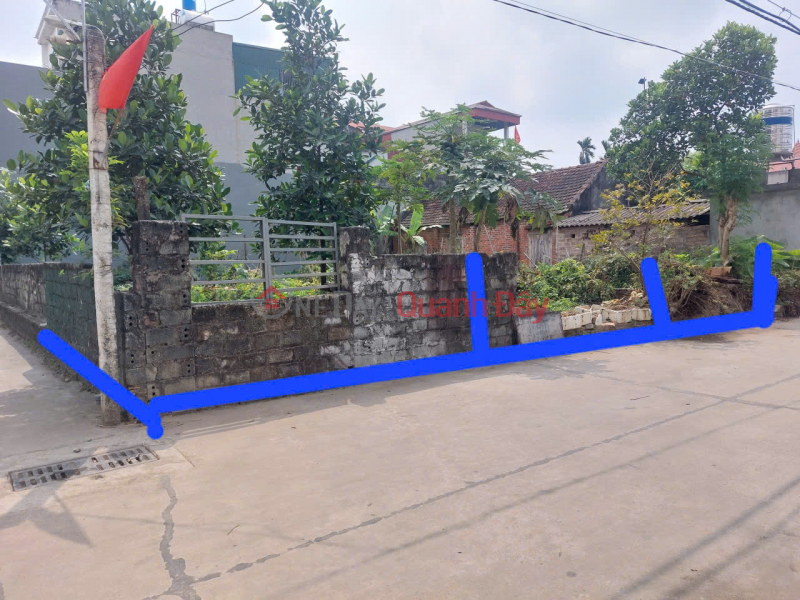 Property Search Vietnam | OneDay | Residential, Sales Listings | OWNER selling quickly 100m2 residential land - Center of Phuc Tho town, Hanoi - Road accessible by car