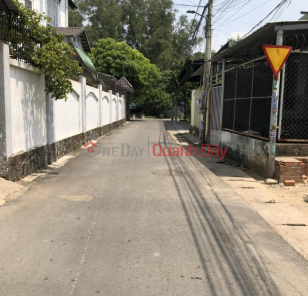 urgent sale of level 4 house at Thac Ba street, Lac Thuan quarter, Lac Tanh town, Tanh Linh district, Binh Thuan province Sales Listings