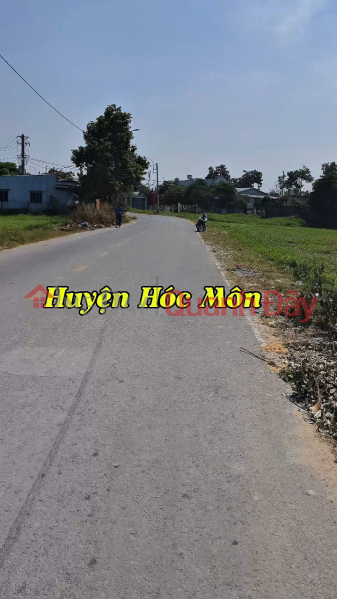 Property Search Vietnam | OneDay | Nhà ở | Niêm yết bán | (4) Bán đất mặt tiền lớn 9.310m², xe container chạy thoải mái, Giá 50 tỷ + x tỷ