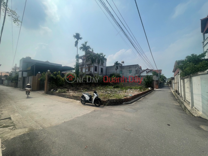 Land for sale in Son Du, Nguyen Khe, 60m, well-furnished, car avoids pine road, price only 3.x billion TL. Contact: 0936123469 Sales Listings