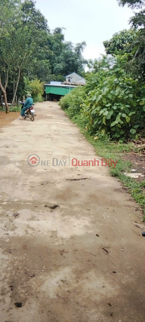 OWNER SELLS BEAUTIFUL LAND LOT OF 2920.3M IN TU SON-KIM BOI HOA BINH _0