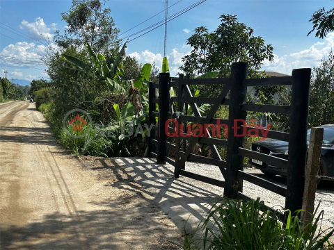 ĐẤT ĐẸP – GIÁ TỐT – CHÍNH CHỦ CẦN BÁN GẤP ĐẤT Tại Chợ Quỳnh Ngọc , Xã Ea Na, Đắk Lắk _0