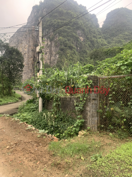 Property Search Vietnam | OneDay | Niêm yết bán, Bán lô đất 3079m2 - 400m2 ONT, Lương Sơn, Hòa Bình.