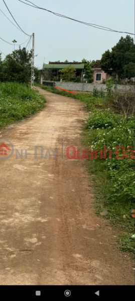 Property Search Vietnam | OneDay | Residential Sales Listings OWNER Needs to Sell Land at Hamlet 5, Dai Son Commune, Do Luong District, Nghe An