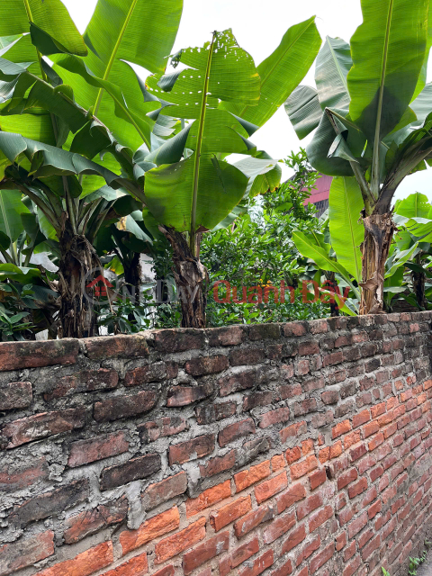 BÁN 150m Đất Hạ Trại ( Thống Nhất ) Long Biên MT 9m , oto ,KD,giá 12,5 ty . _0