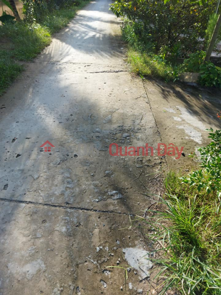 Property Search Vietnam | OneDay | , Sales Listings, FOR SALE LAND TAN HANH - LONG HO - VL