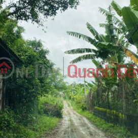 OWNER NEEDS TO SELL LAND LOT QUICKLY IN Thanh Nhat Ward - Buon Ma Thuot City - Dak Lak _0