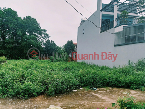 OWNER Quickly Sells 187m2 Land Plot In Binh Yen Commune, Thach That, Hanoi _0