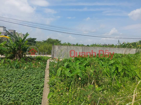 LAND FOR SALE IN URBAN AREA, AREA 90M2, FRONTAGE 5M2 - GOOD PROFIT POTENTIAL, PRICE ONLY ABOVE 4 BILLION. _0