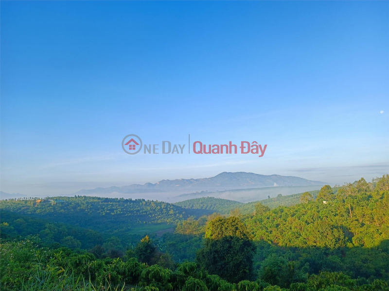 Property Search Vietnam | OneDay | Nhà ở | Niêm yết bán, CHÍNH CHỦ NGỘP Bán Đất RẺ PHƯỜNG LỘC NGA TP BẢO LỘC THỔ CƯ 200m2 BIỆT THỰ MUA LỜI NGAY 1 Tỷ