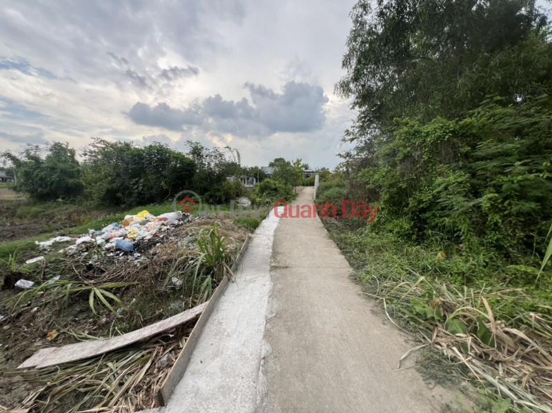 đ 4.9 Billion BEAUTIFUL LAND 1240 M2 - FULL RESIDENTIAL - OWNER FOR SALE Lot in Phuoc Hau, Can Giuoc, Long An