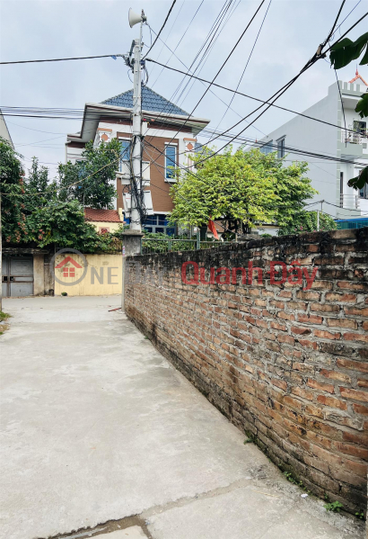 House for sale C4 Van Tao Thuong Tin, shallow lane, car parking 10m away from the gate, priced at 1.25 billion, Vietnam, Sales | đ 1.25 Billion