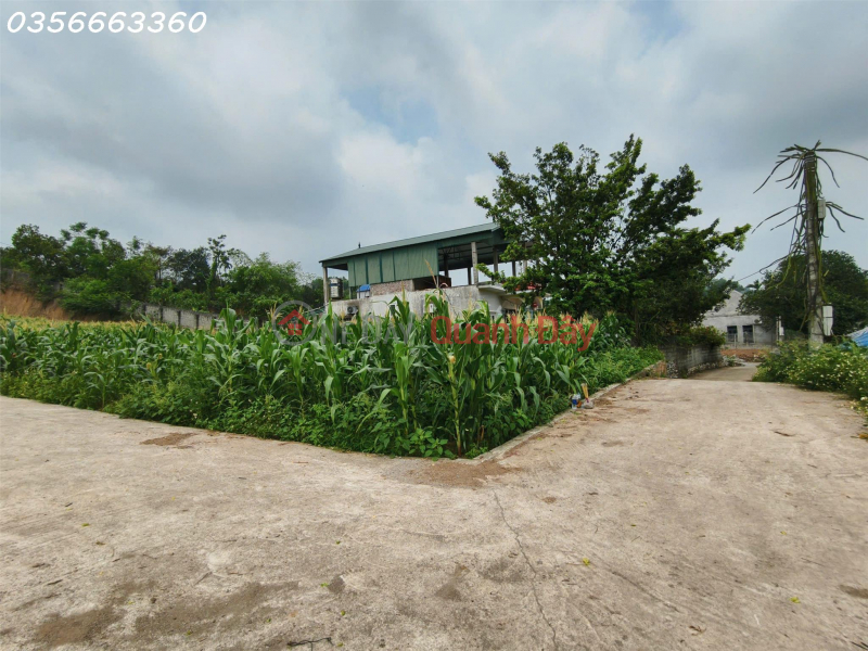 CHÍNH CHỦ BÁN LÔ GÓC 2 MẶT TIỀN TẠI XÃ MỸ ĐỨC – HÀ NỘI, DT 88,2m² FULL THỔ CƯ | Việt Nam Bán, đ 1,3 tỷ
