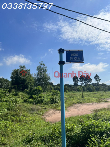 THE OWNER IS URGENTLY SELLING A BEAUTIFUL LOCATION OF LAND IN Trang Bom, Dong Nai Sales Listings