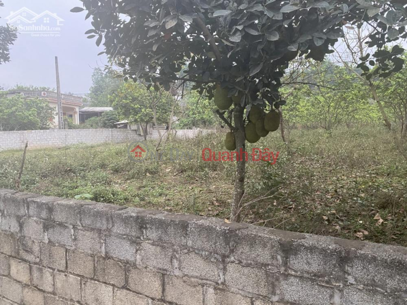 Land for sale in Cao Duong commune, Luong Son district, Hoa Binh Sales Listings