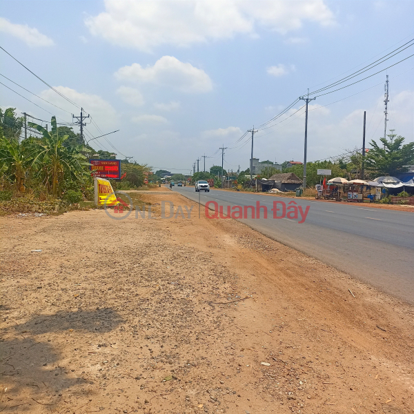 Property Search Vietnam | OneDay | Sales Listings The owner sent for sale 1180m2, the book is ready, the land is right in Chon Thanh Gia Ngot town