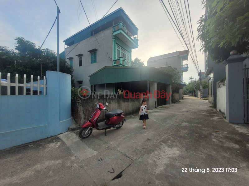 Property Search Vietnam | OneDay | Residential Sales Listings | Selling 119m of CHEAPEST land in Van Noi - Road open to trucks - Avoid cars in front of the land