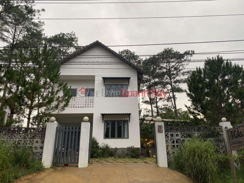 HOT HOT! Mang Den resort villa for sale at Xuan Huong Lake, Dak Long Commune, Kon Plong District, Kon Tum Sales Listings