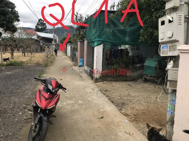 Property Search Vietnam | OneDay | Residential, Sales Listings | PRIME LAND FOR OWNER - GOOD PRICE For Quick Sale Land Lot with Beautiful Frontage in Suoi Tan Cam Commune, Lam Khanh Hoa