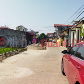 Owner needs to sell 2 lots F0 48m2 Xuan Ap - Tan Dan - Soc Son Hanoi 7-seat car lane _0
