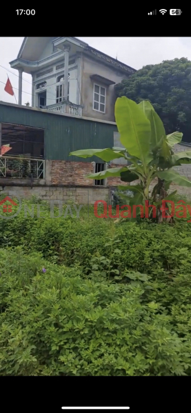 PRIMARY LAND - GOOD PRICE - Nice Location On Main Street Ngoc Xa Commune, Que Vo District, Bac Ninh | Vietnam | Sales, đ 1.19 Billion