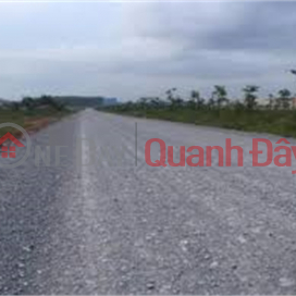 Transfer of 20ha of warehouse land for 50 years in Dong Van Industrial Park, Ha Nam Province _0