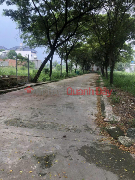 OWNER Needs to Sell Land in Good Location in Binh Minh Commune, Trang Bom District, Dong Nai Sales Listings