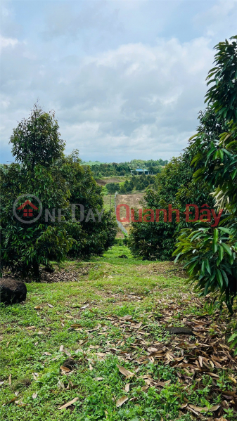  | Please Select | Residential, Sales Listings | đ 3.9 Billion