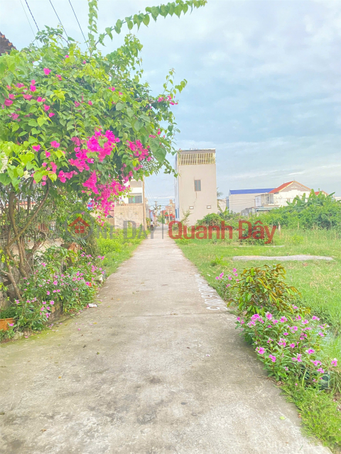 2,x tỷ Lô đất giá tốt hiếm tại Tân Thành – Ngõ 5m ô tô vào tận nơi, quỹ đất đẹp Dương Kinh ZALO 0567 222 555 _0