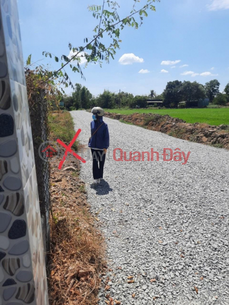 Property Search Vietnam | OneDay | Residential | Sales Listings, OWNER NEEDS TO FAST SELL Lot Of Land, Beautiful Location In Binh Tinh Commune, Tan Tru, Long An