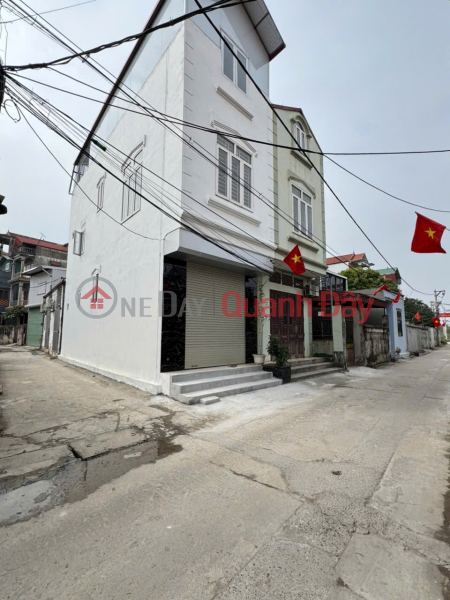 House for Sale - Corner Lot with 2 Street Frontages, 3 Stories - Main Road of Do Thuong Village, Tien Phong Commune, Me Linh District Sales Listings