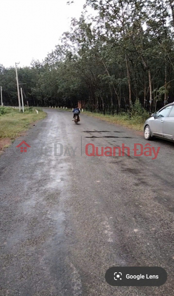 đ 1.1 Billion, URGENT SALE - I, THE OWNER, NEED TO SELL THIS PLOT OF LAND URGENTLY AT A SUPERB PRICE. Located in Dong Phu District, Binh Phuoc Province.