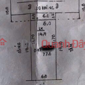 Mặt đường Kinh doanh Trần Phú huyện chương Mỹ Hà Nội .liên xã Trần Phú Hồng phong Mỹ lương đồng lạc
-đầu năm _0