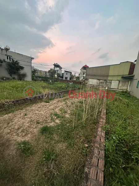Mr. Tuan, the original owner (F0),asked me to help sell his plot of land in Duc Thuong - with two street frontages, right on the main road. Sales Listings